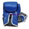 Перчатки для бокса Everlast EVDX445, 6, 8, 10, 12 унций